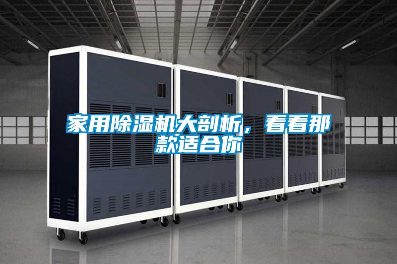家用除濕機(jī)大剖析,看看那款適合你