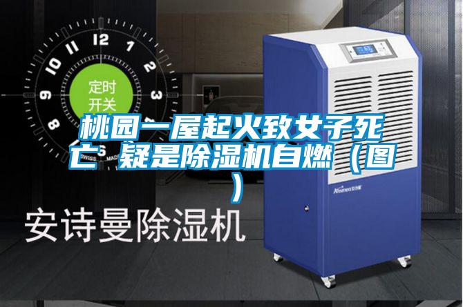 桃園一屋起火致女子死亡 疑是除濕機(jī)自燃(圖)