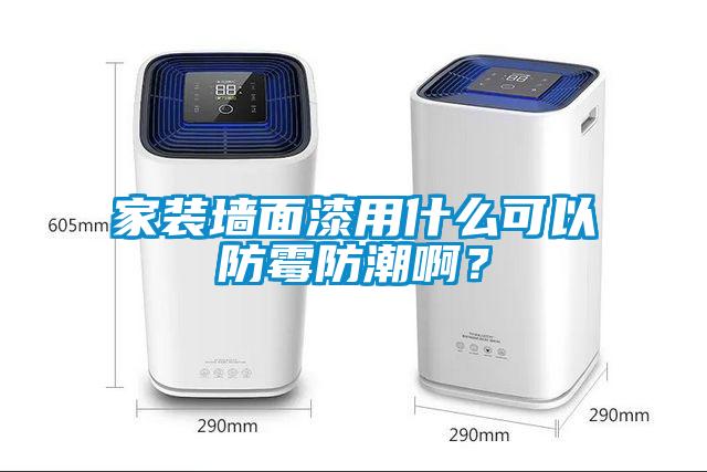 家裝墻面漆用什么可以防霉防潮啊?