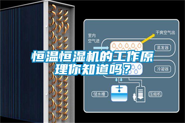 恒溫恒濕機的工作原理你知道嗎？