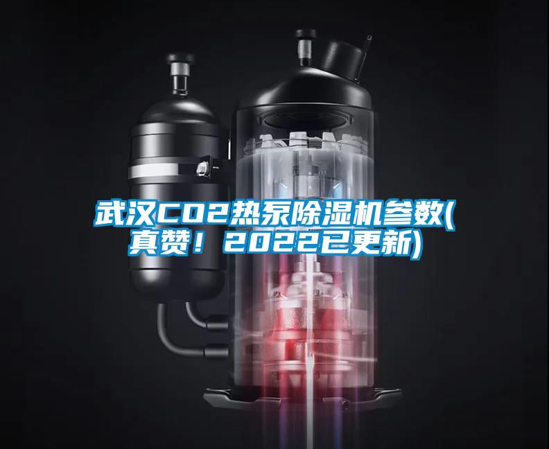 武漢CO2熱泵除濕機(jī)參數(shù)(真贊!2022已更新)