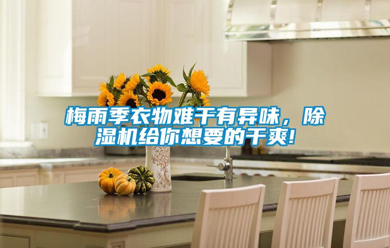 梅雨季衣物難干有異味,除濕機給你想要的干爽!