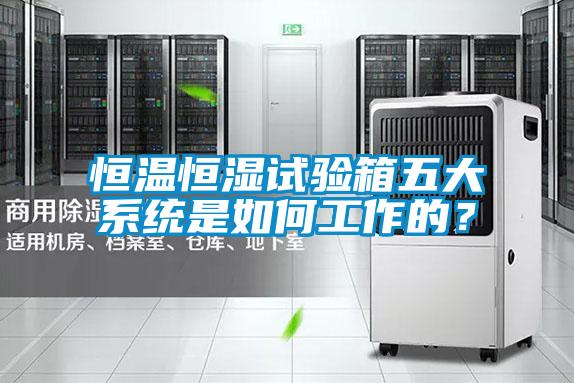 恒溫恒濕試驗箱五大系統是如何工作的?