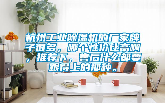 杭州工業除濕機的廠家牌子很多，哪個性價比高啊，推薦下，售后什么都要跟得上的那種。