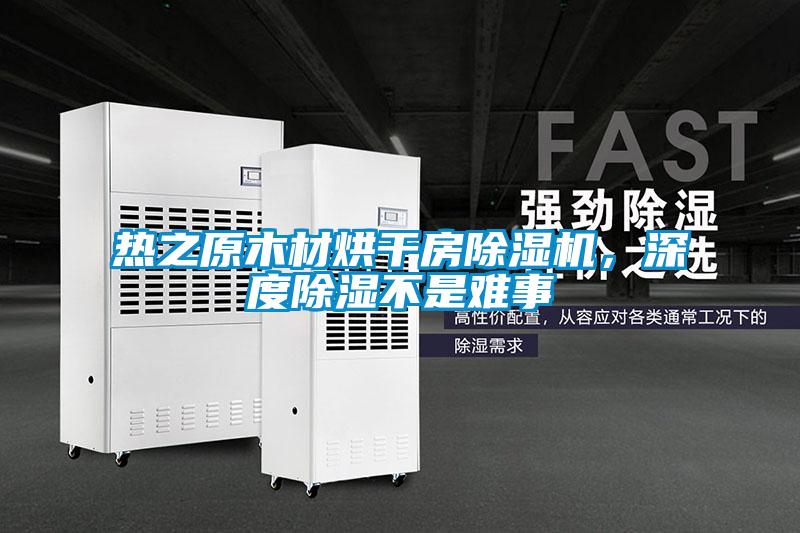 熱之原木材烘干房除濕機，深度除濕不是難事