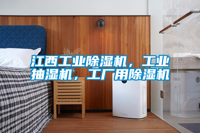 江西工業除濕機,工業抽濕機,工廠用除濕機