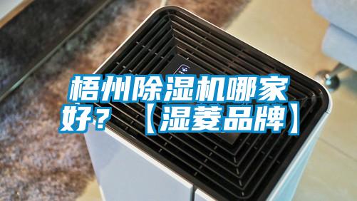 梧州除濕機(jī)哪家好?【濕菱品牌】