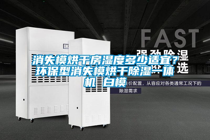 消失模烘干房濕度多少適宜?環保型消失模烘干除濕一體機 白模