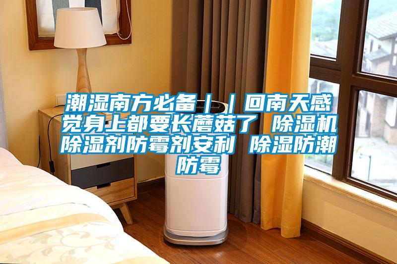 潮濕南方必備||回南天感覺身上都要長蘑菇了 除濕機(jī)除濕劑防霉劑安利 除濕防潮防霉