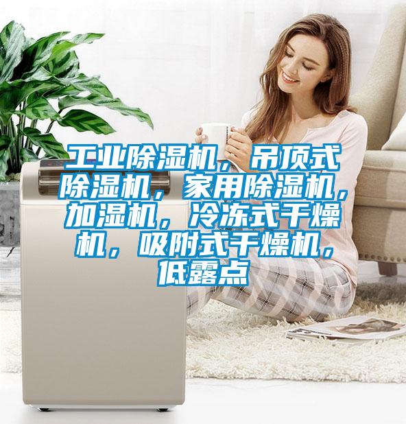 工業(yè)除濕機(jī),吊頂式除濕機(jī),家用除濕機(jī),加濕機(jī),冷凍式干燥機(jī),吸附式干燥機(jī),低露點(diǎn)