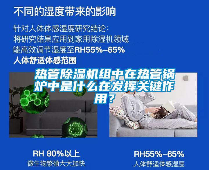 熱管除濕機組中在熱管鍋爐中是什么在發揮關鍵作用?