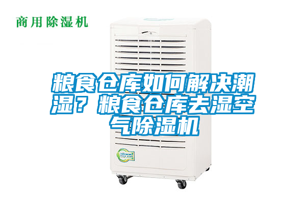 糧食倉庫如何解決潮濕?糧食倉庫去濕空氣除濕機(jī)