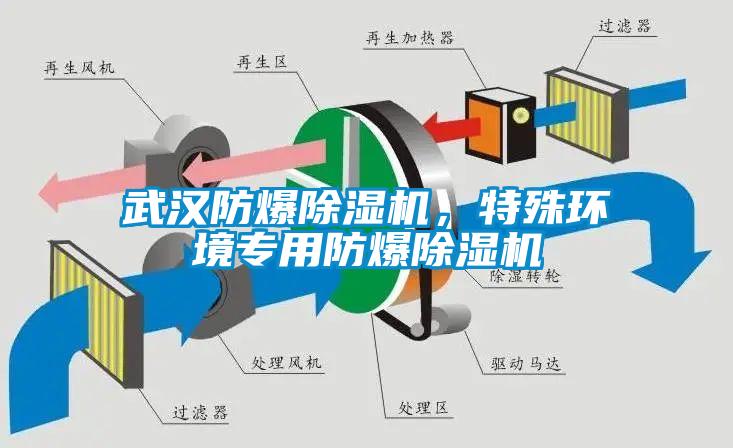 武漢防爆除濕機,特殊環境專用防爆除濕機