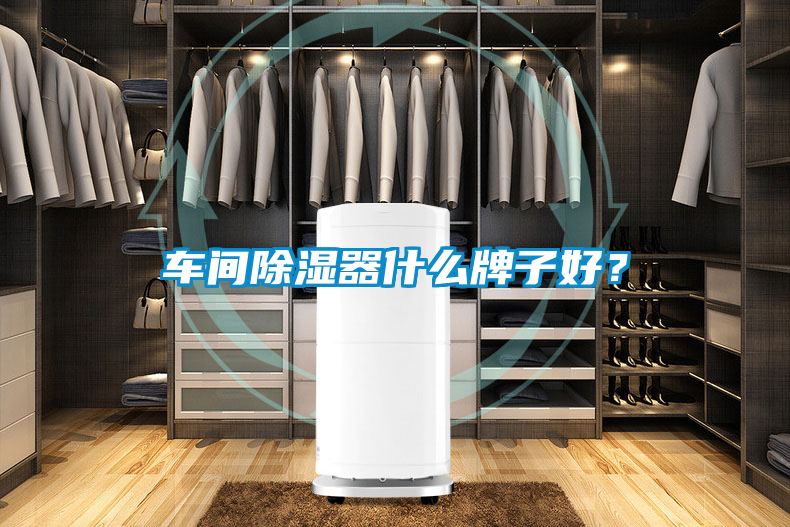 車間除濕器什么牌子好？