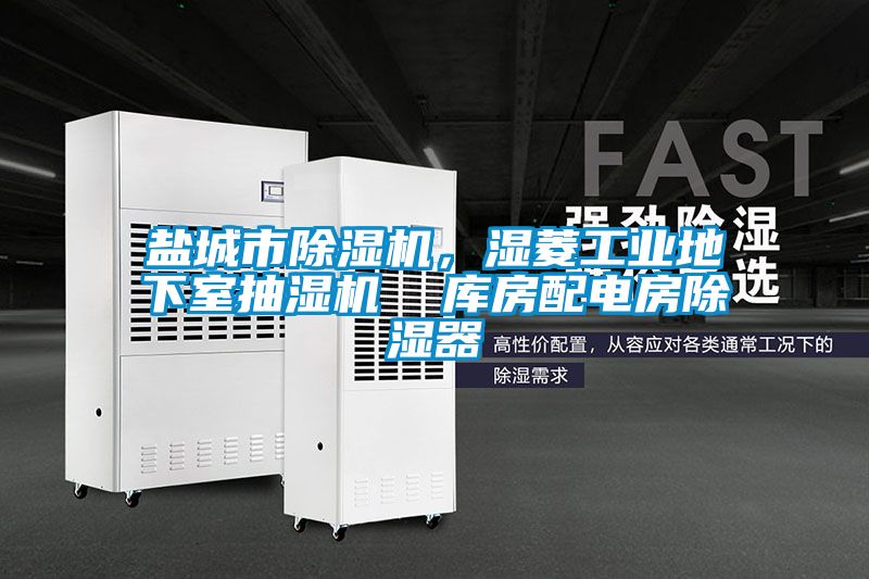 鹽城市除濕機(jī),濕菱工業(yè)地下室抽濕機(jī) 庫房配電房除濕器