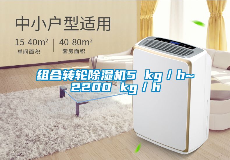組合轉輪除濕機5 kg/h~2200 kg/h