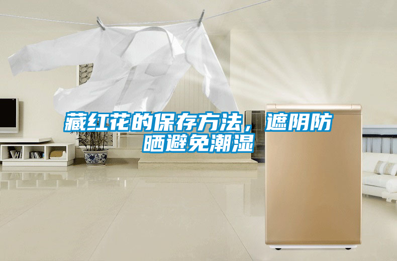 藏紅花的保存方法，遮陰防曬避免潮濕