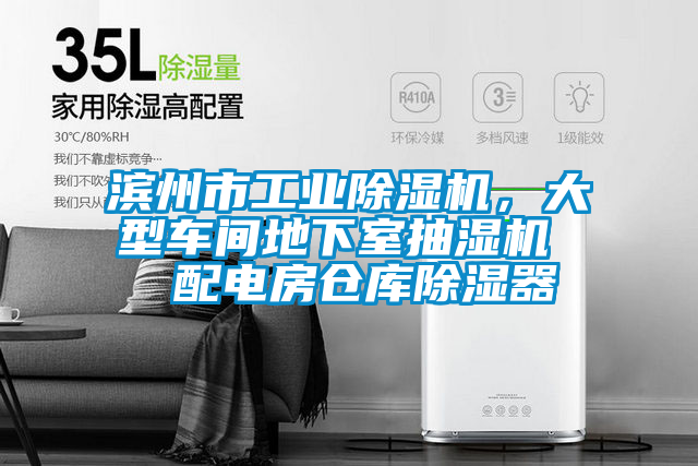 濱州市工業除濕機,大型車間地下室抽濕機 配電房倉庫除濕器