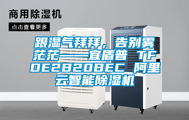 跟濕氣拜拜,告別霧茫茫——宜盾普 TFDE2B20BEC 阿里云智能除濕機