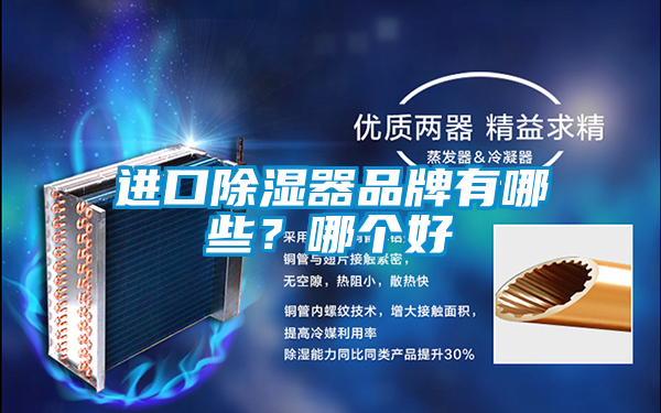 進口除濕器品牌有哪些？哪個好