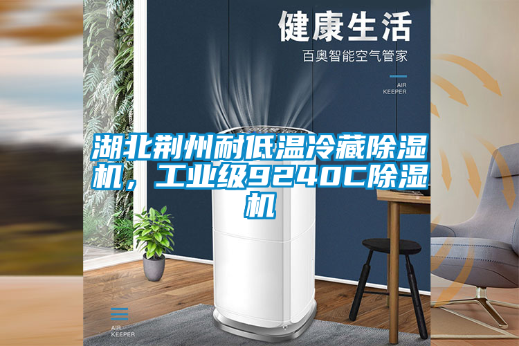 湖北荊州耐低溫冷藏除濕機,工業(yè)級9240C除濕機