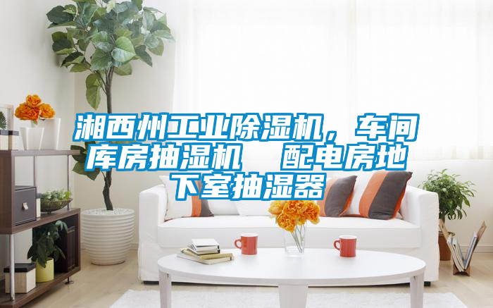 湘西州工業(yè)除濕機(jī)，車間庫房抽濕機(jī)  配電房地下室抽濕器