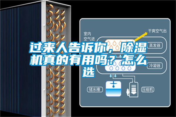 過來人告訴你，除濕機真的有用嗎？怎么選