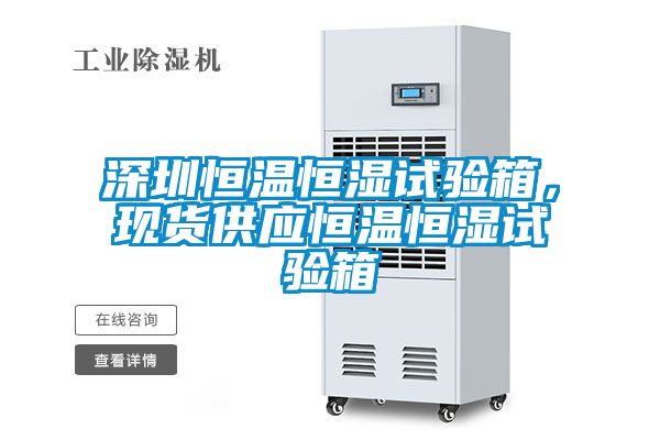 深圳恒溫恒濕試驗箱，現貨供應恒溫恒濕試驗箱
