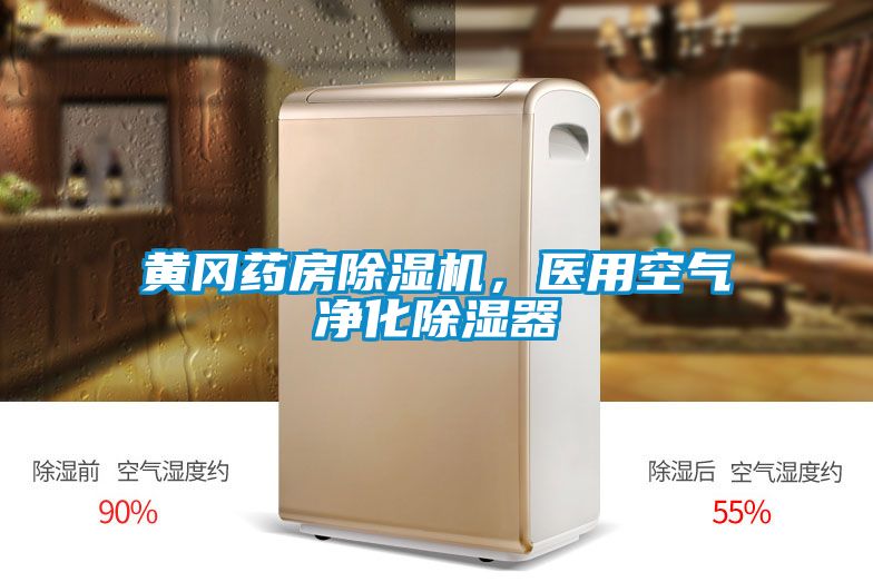 黃岡藥房除濕機,醫(yī)用空氣凈化除濕器