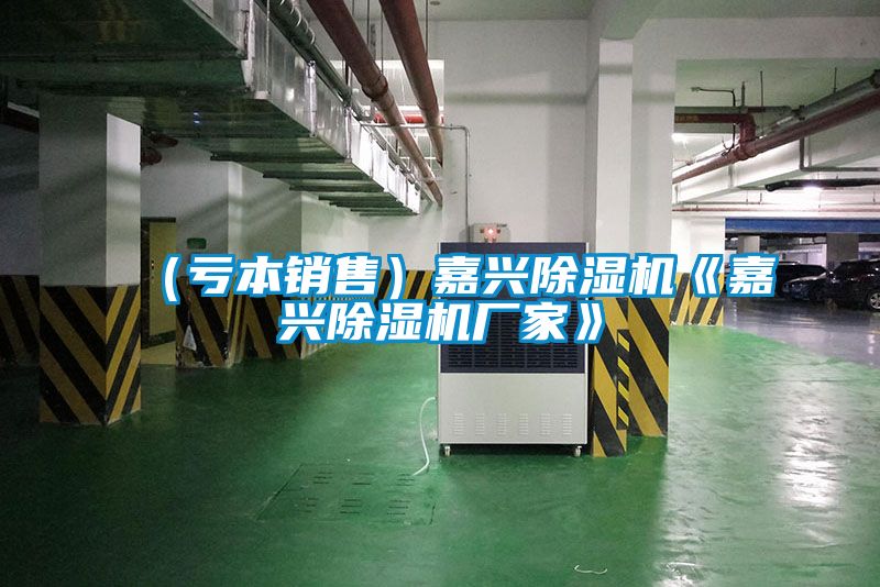 (虧本銷售)嘉興除濕機《嘉興除濕機廠家》